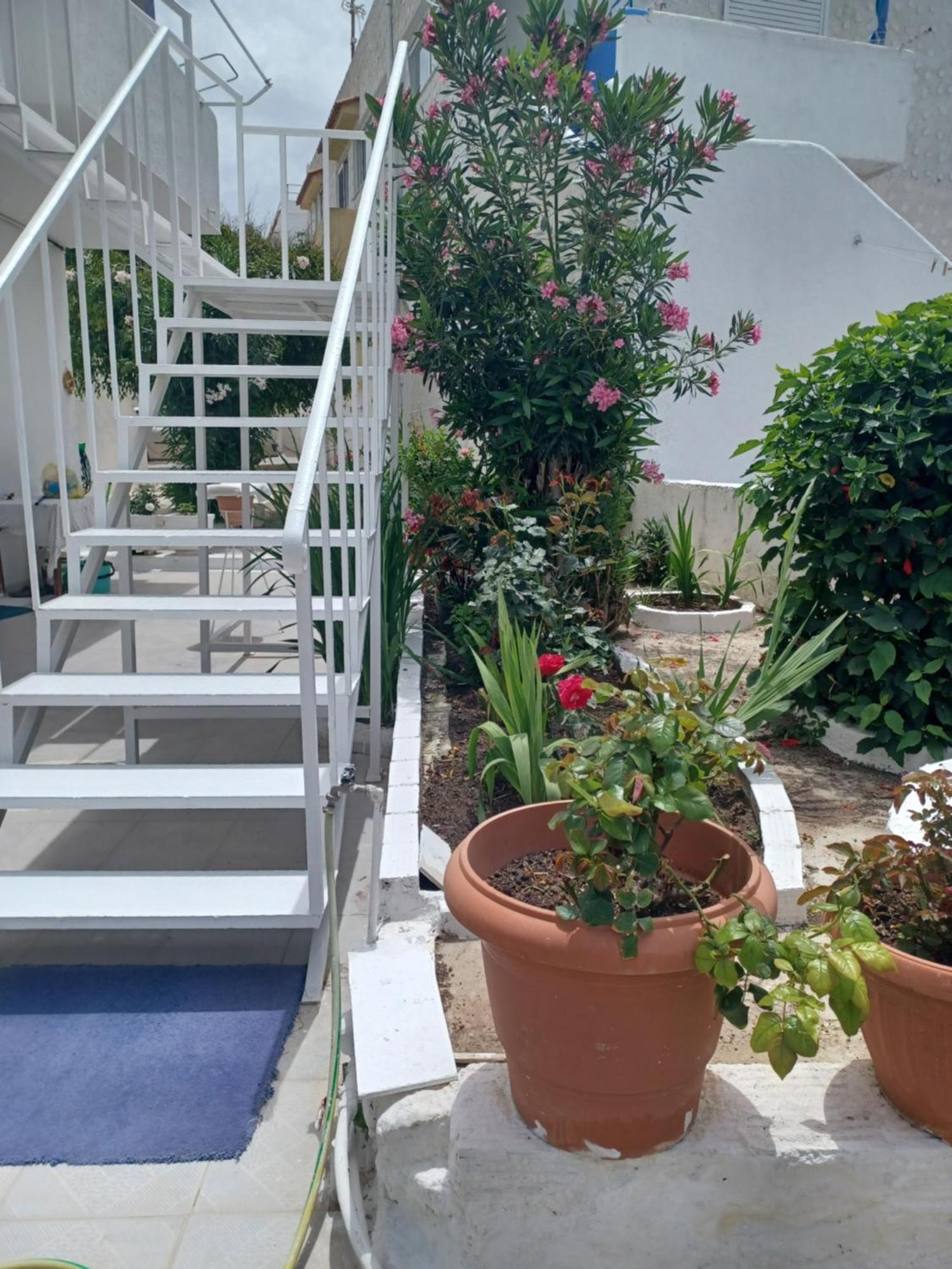 Mastichari Nektaria Studio Apartamento Exterior foto